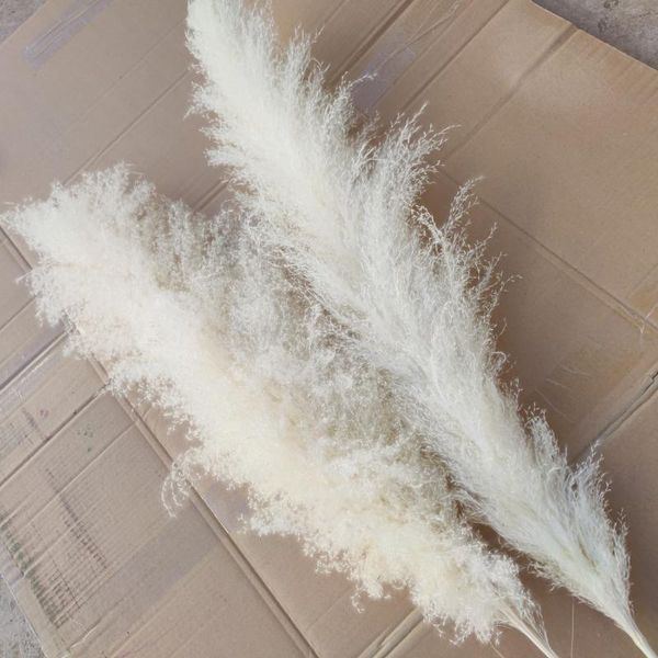 

80cm dried flower pampas grass large white fluffy dyeing wedding bouquet home outdoor decor ground adornment decorative flowers