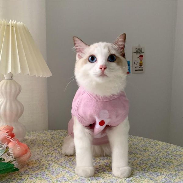 

cat costumes year autumn winter sweater dog warm clothes pet for kitten puppy clothing lovely hoodies cute costume n85