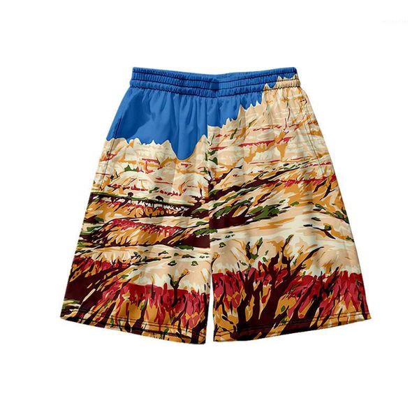 

men's shorts 2021 summer seaside beach large size loose red earth mountain holiday 3d printed pants, White;black