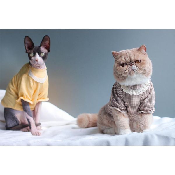 

cat costumes kitten clothes clothing spring summer thin cute t-shirt elegant lace decoration costume paws long sleeve top