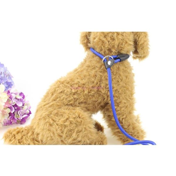 

dog collars & leashes 100pcs/lot training leash slip pet nylon rope lead strap adjustable traction collar accessories