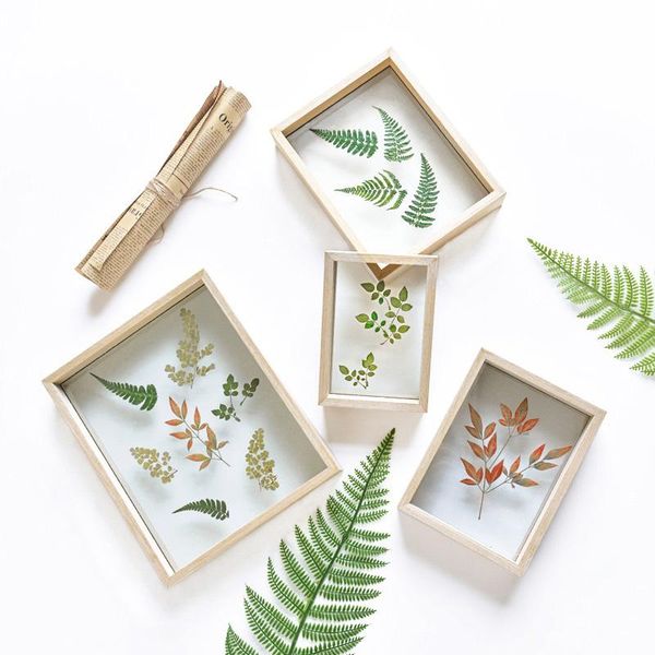 

frames creative po frame double-sided glass plant specimen leaf clip