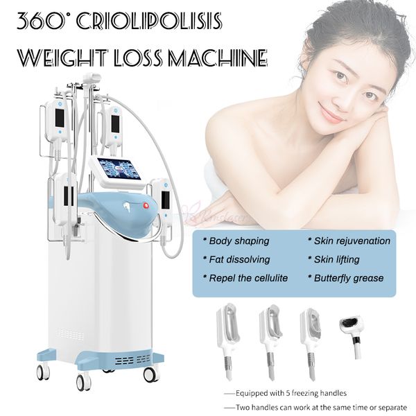 Machine d'amincissement du corps de cryolipolyse de grande puissance avec double menton enlever l'équipement cryogénique coolsculpt de gel de graisse