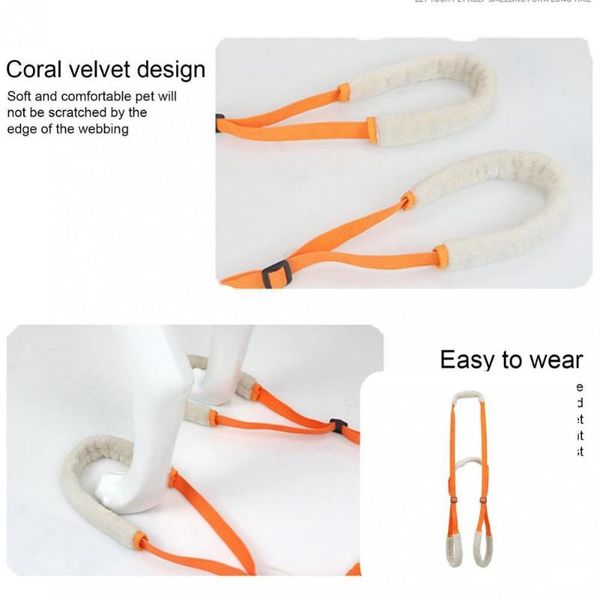 

dog collars & leashes pet auxiliary belt reusable harness comfortable wearable recovery