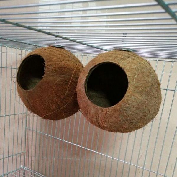 

natural wooden parrot toys nest bird supplies birdhouse coconut shell ladder climbing toy cages
