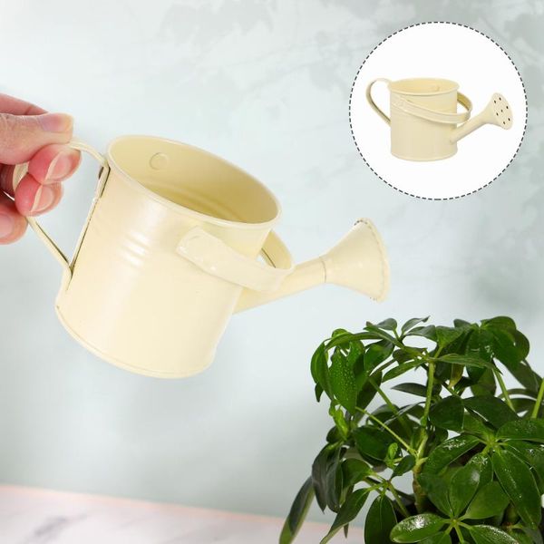

watering equipments 5pcs compact size pot gardening can iron kettle