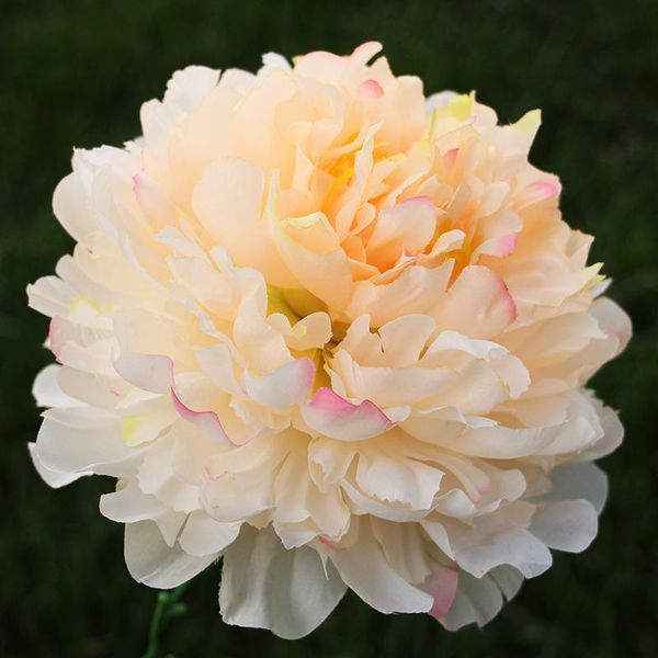 

15pcs/lot artificial flower 18cm peony head diy party wedding decoration fake wall accessories for home decor decorative flowers & wreaths