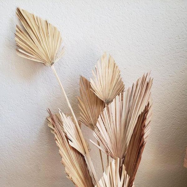 

palm fan leaf dried flower natural plant diy party art wall hanging wedding decor decorative flowers & wreaths