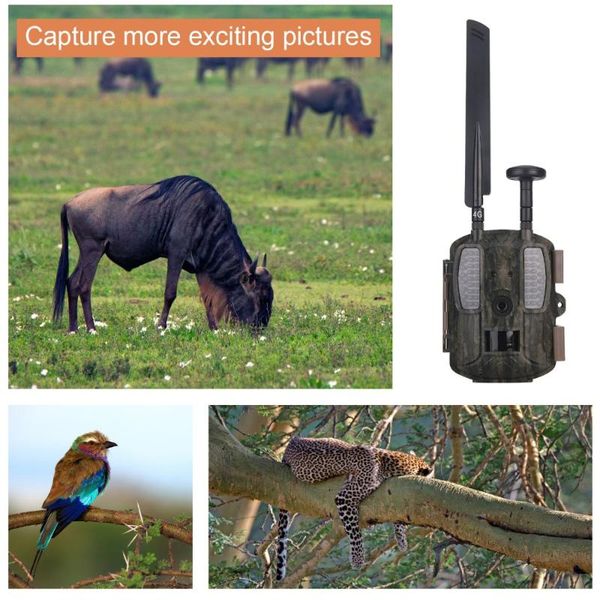 

wild hunting camera 4g wwith gps digital video po-traps trail foto chasse cameras