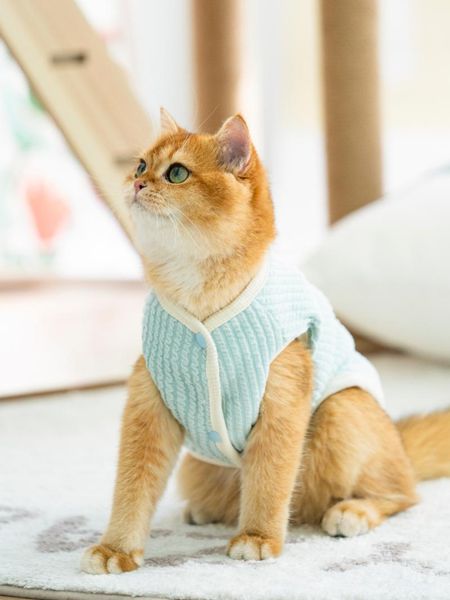 

cat costumes winter clothes knitted pet sweater for small dogs