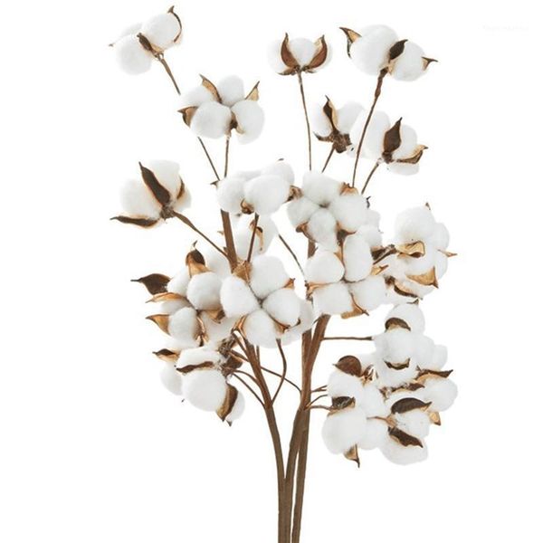 

decorative flowers & wreaths cotton stems 6 loaded 10 balls 55cm farmhouse display filler lace decoration simulation dried flower long branc