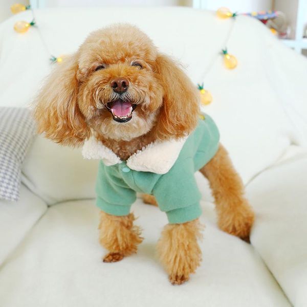 

dog apparel fashion cat clothes winter cute pet robot lapel coat puppy christmas clothing hoodies for small comfort