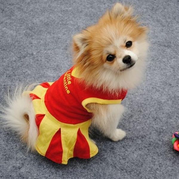 

dog apparel spring and summer leisure style pet clothing comfortable cute mini cheerleading all cotton one-piece dress small costume