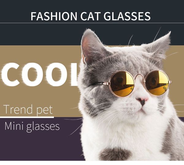 Cat Fostumes Óculos para animais de estimação Cats Fotos Ferramenta Preço de fábrica Especialista Qualidade Qualidade Última Estilo Original Status