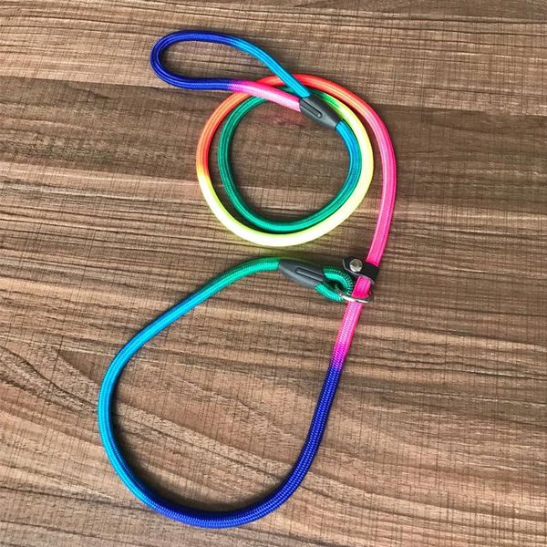 

dog collars & leashes rainbow p chain belt pet traction for small medium dogs the leash is lightweight and easy to carry supplies