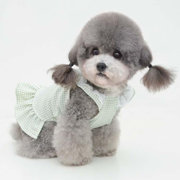 

dog apparel spring and summer pet skirt clothes plaid lace cute bow teddy small dress