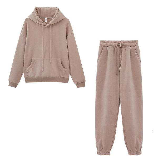 

women's tracksuits ebaihui autumn winter fleece hoodies two piece set womens jogger pants thick warm clothes solid color jacket su, Gray