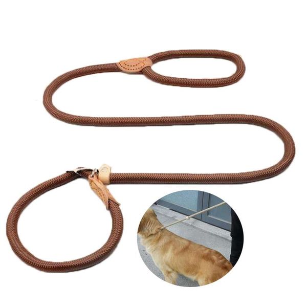 

dog leash running walk train lead for small medium large dogs supplies walking training pet products collars & leashes