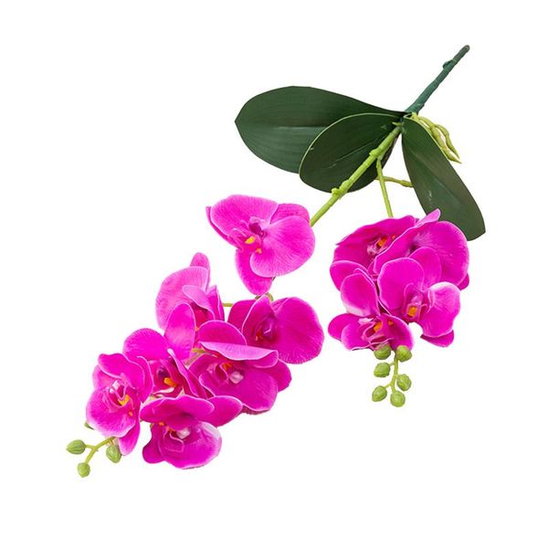 

decorative flowers & wreaths 12 heads plastic realistic diy living room easy care reusable real touch home decor artificial butterfly orchid