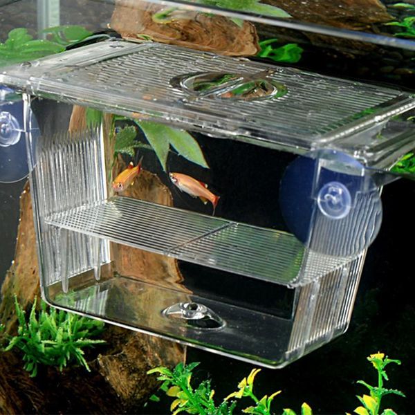 

transparent hatchery aquarium tank isolation with suction cups fish breeding box fighting aquariums