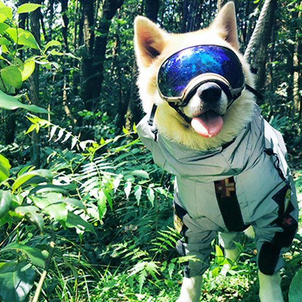 

dog apparel large raincoat tactical full surround waterproof clothes outdoor reflective doberman labrador pet