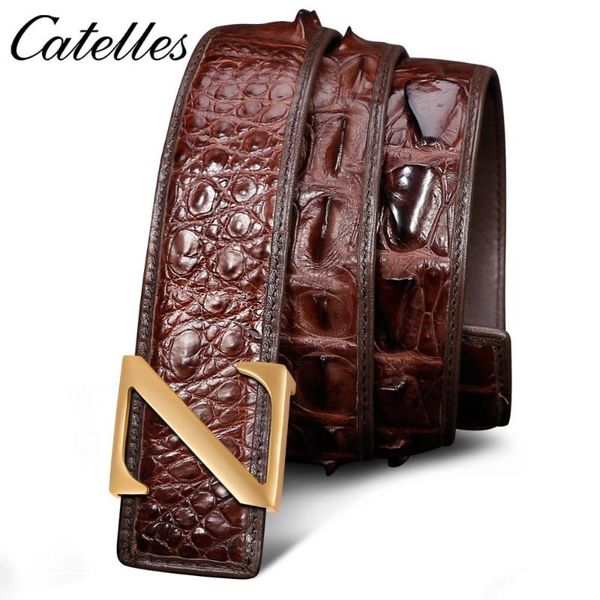 

belts catelles genuine crocodile leather for male casual fashion fesigner straps belt, Black;brown