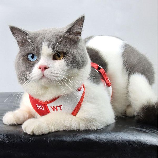 

cat collars & leads reflective puppy harness vest with walking lead leash adjustable kitten collar polyester mesh for small medium cats