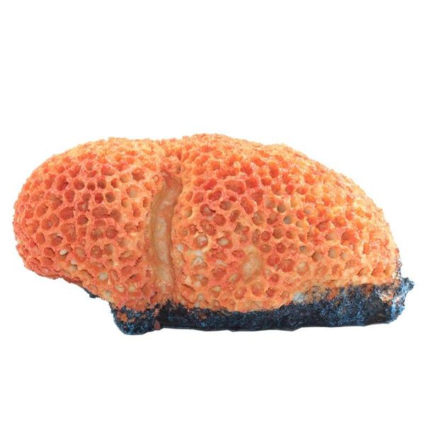

aquarium decoration shell resin fish tank ornament landscap decorative 16x10x8cm decorations