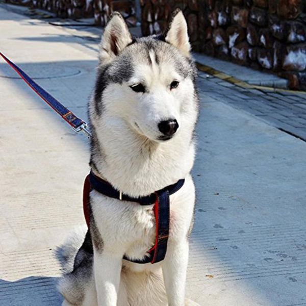 

dog collars & leashes 1 set nylon adjustable pet puppy harness safety vehicular lead leash walking hand strap breast-band belt