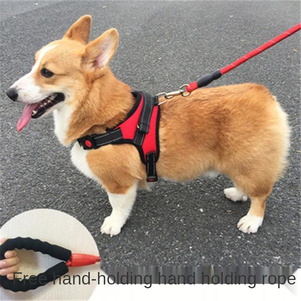 

dog harness and leash nylon reflective durable accessories pet product for collars & leashes