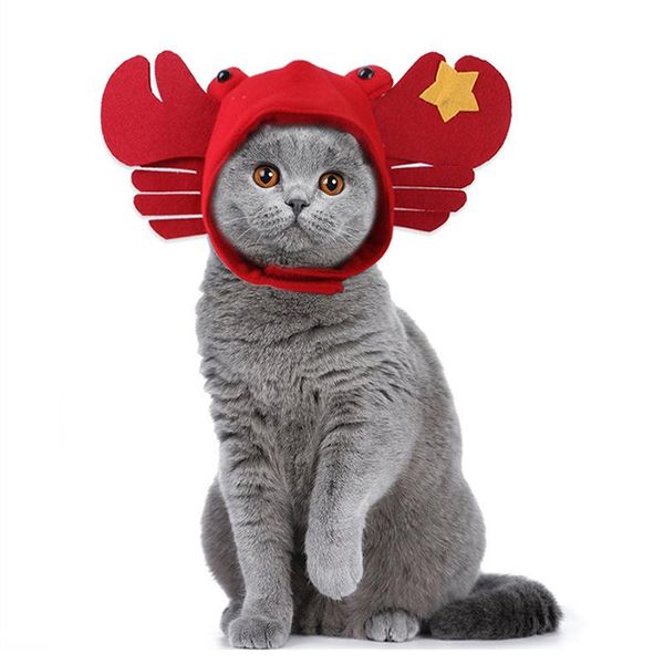 

cat costumes pet dog hat teddy dress up crab headgear style cute small supplies