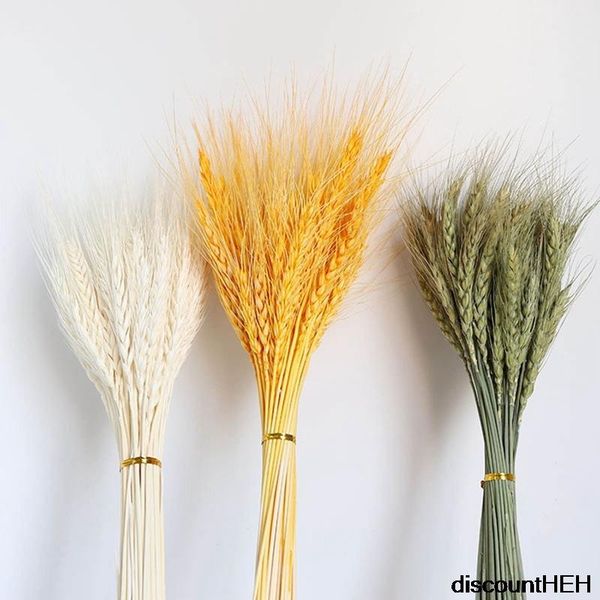 

decorative flowers & wreaths 50pcs real wheat ear flower decoration natural pampas tail grass dried for wedding diy crafts scrapbook