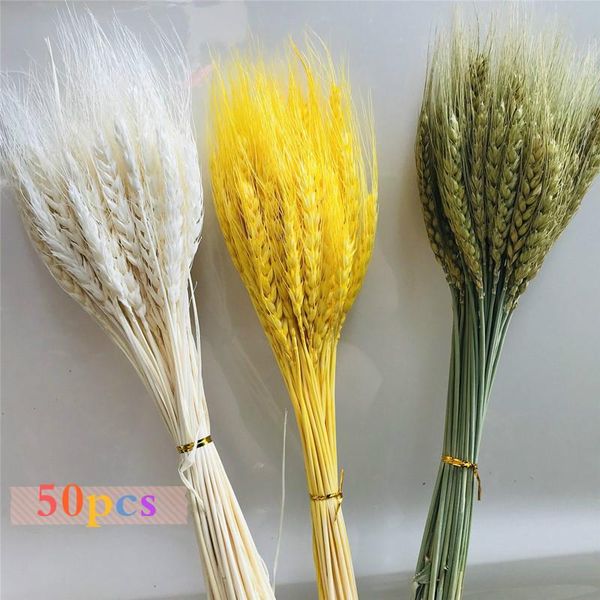 

decorative flowers & wreaths 50pcs real wheat ear flower natural dried for wedding party decoration diy craft scrapbook home decor bouquet