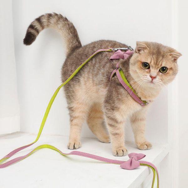 

cat collars & leads pet vest chest strap comfortable harness and leash set adjustable rope supplies for dog lbe