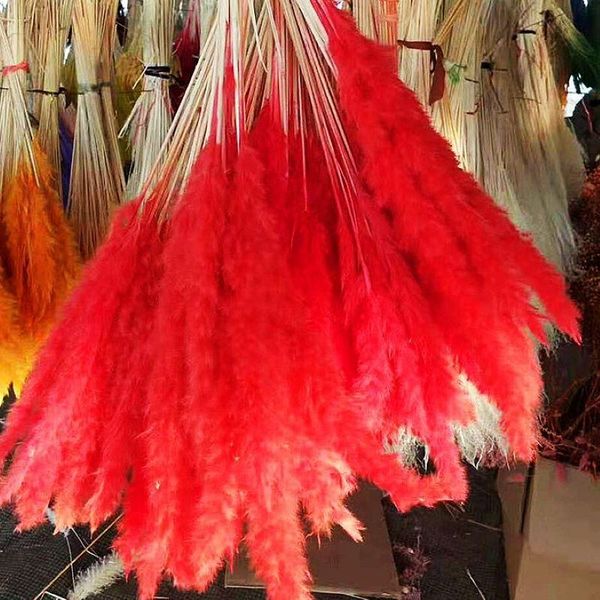 

30pcs real dried reed flowers bouquet wedding decoration flores decorativas natural pampas grass home accessories decorative & wreaths
