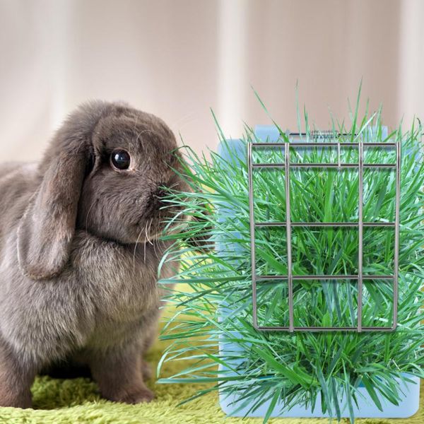

small animal supplies portable grass rack feeding for pets