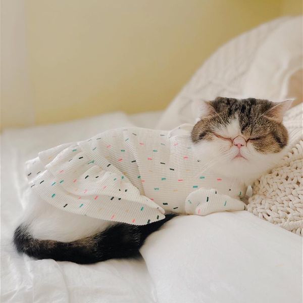 

cat clothes 100% cotton dress for costumes