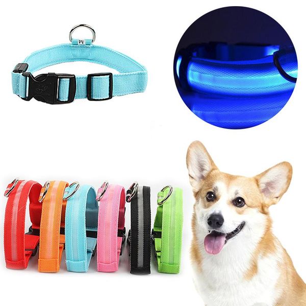 

cute dog collar led luminous flashing safety adjustable nylon pet necklace puppy cat night walking anti lost light collars & leashes