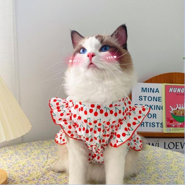 

cat costumes clothes small dogs dog satchel vest skirt dress dresses for cats