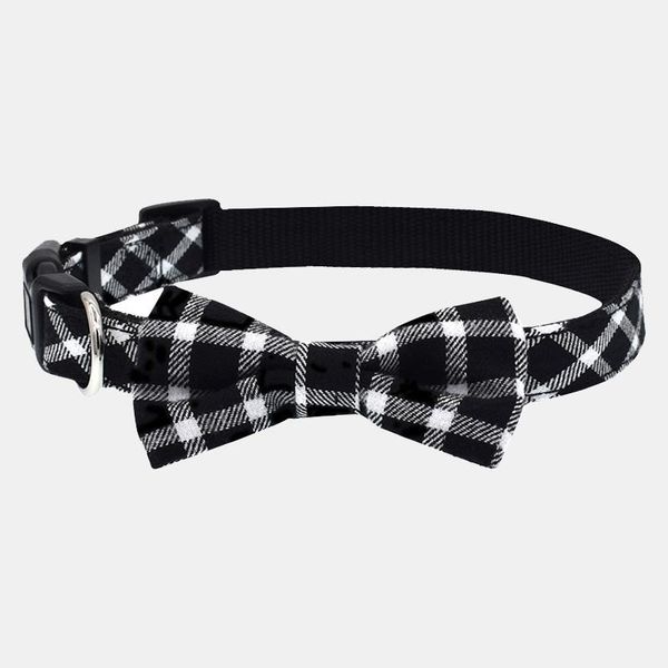 

pet dog collar cat collars dibo america huskies teddy large supplies & leashes