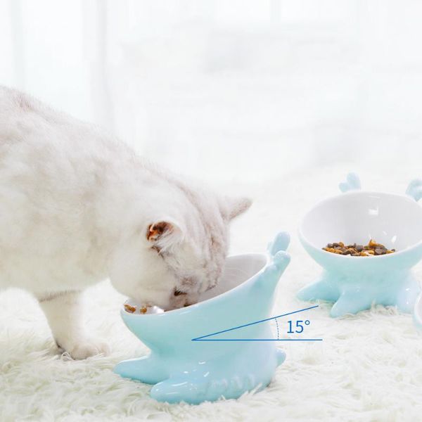 

cat bowls & feeders bowl ceramic protection cervical spine food