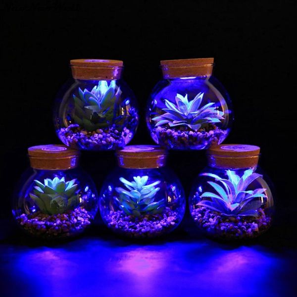 

8-types creativite with light glass vase simulated succulent bonsai home ornaments simulation pot plant landscape family dector