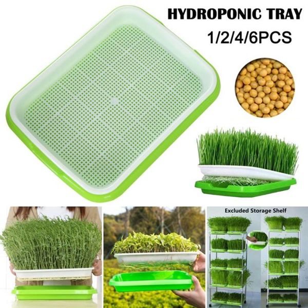 

planters & pots soilless nursery tray seeding sprout plate home garden hydroponic plant wheatgrass growing