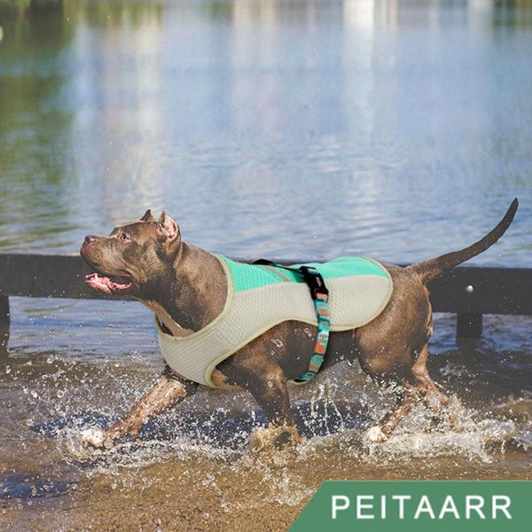 

dog apparel [peitaarr]pet supplies clothes cooling summer vest quick reflective strips outdoor