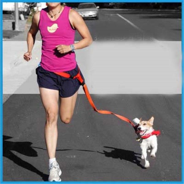 

outdoor bags adjustable running bag jogging dog belt traction rope
