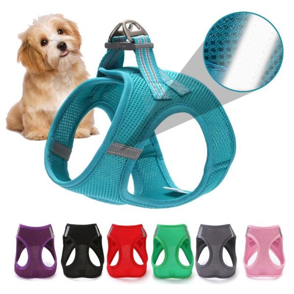 

dog collars & leashes breathable small pet harness and leash set puppy cat vest for chihuahua pug cats