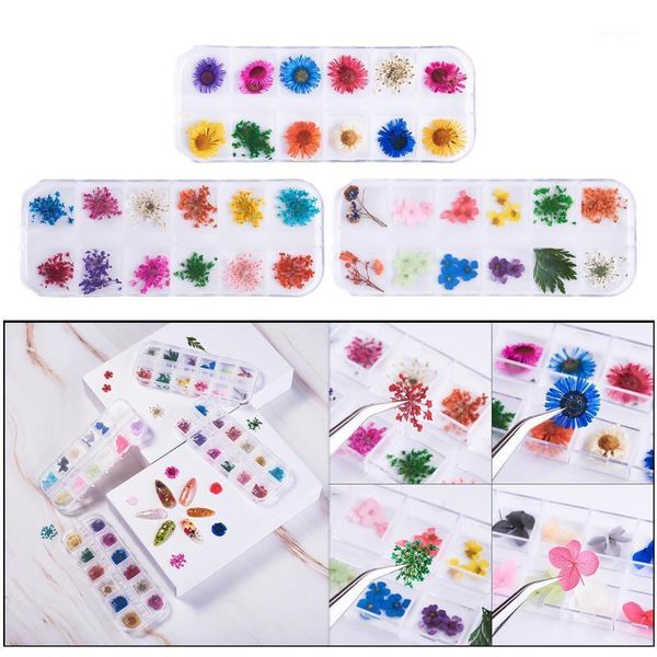 

color real dry dried flower uv gel acrylic diy tips nail art decor manicure1, Silver;gold