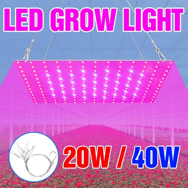 

indoor led full spectrum lamp 20w 40w plant grow light growing tent phyto bulb for hydroponics plants seed flower veg lights