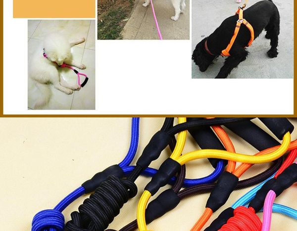 

dog collars & leashes color send randomly1 x brand useful pet cat doggie puppy lead harness belt rope