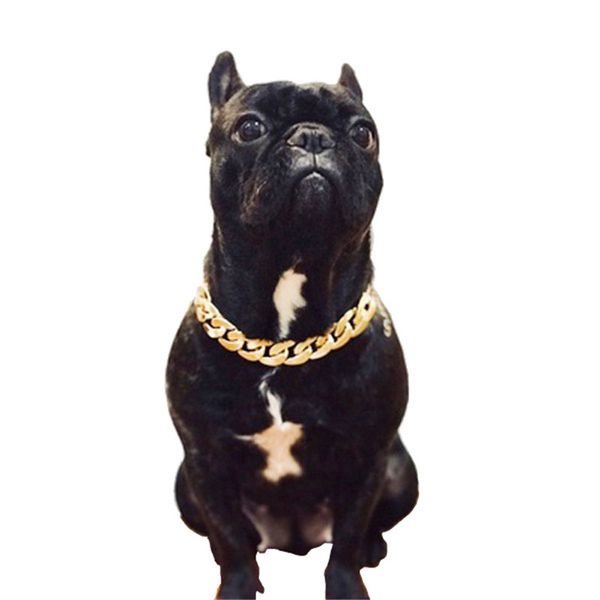 Fashion Dogs Collari a catena dorati Outdoor Street Style Pet Collar Pug Teddy Corgi Puppy Forniture Accessori